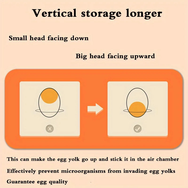 2-Layer Drawer-Style Egg Storage Box