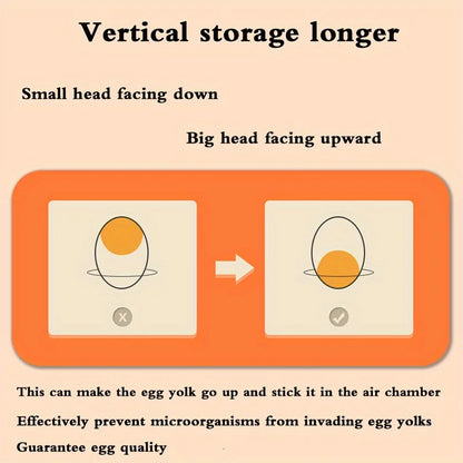 2-Layer Drawer-Style Egg Storage Box