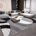 Orbit Weave Geometric Rug | Soft Velvet Non-Slip Floor Mat