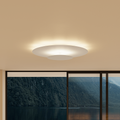 Flush Mount Ceiling Light LED Modern Round Slim Panel