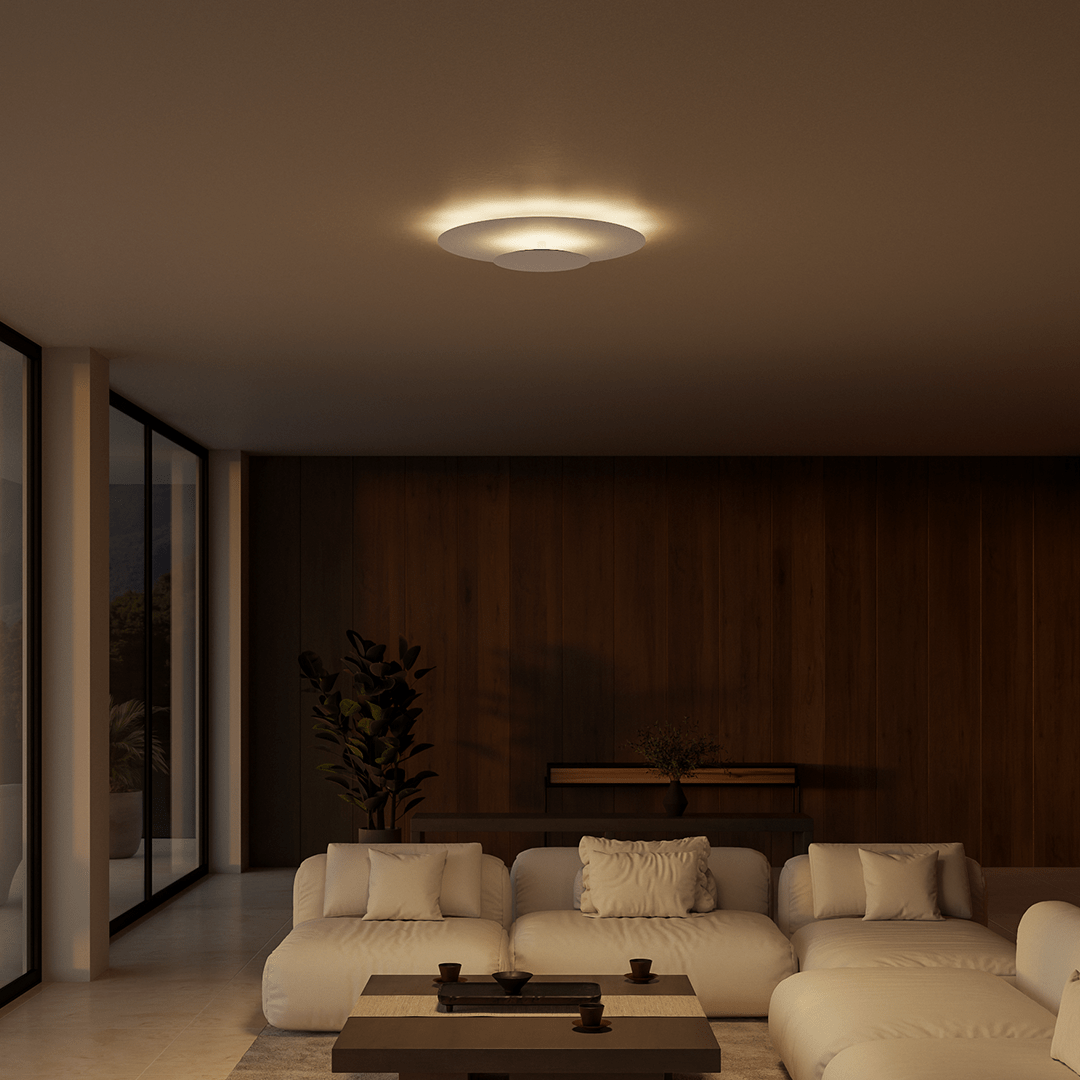 Flush Mount Ceiling Light LED Modern Round Slim Panel
