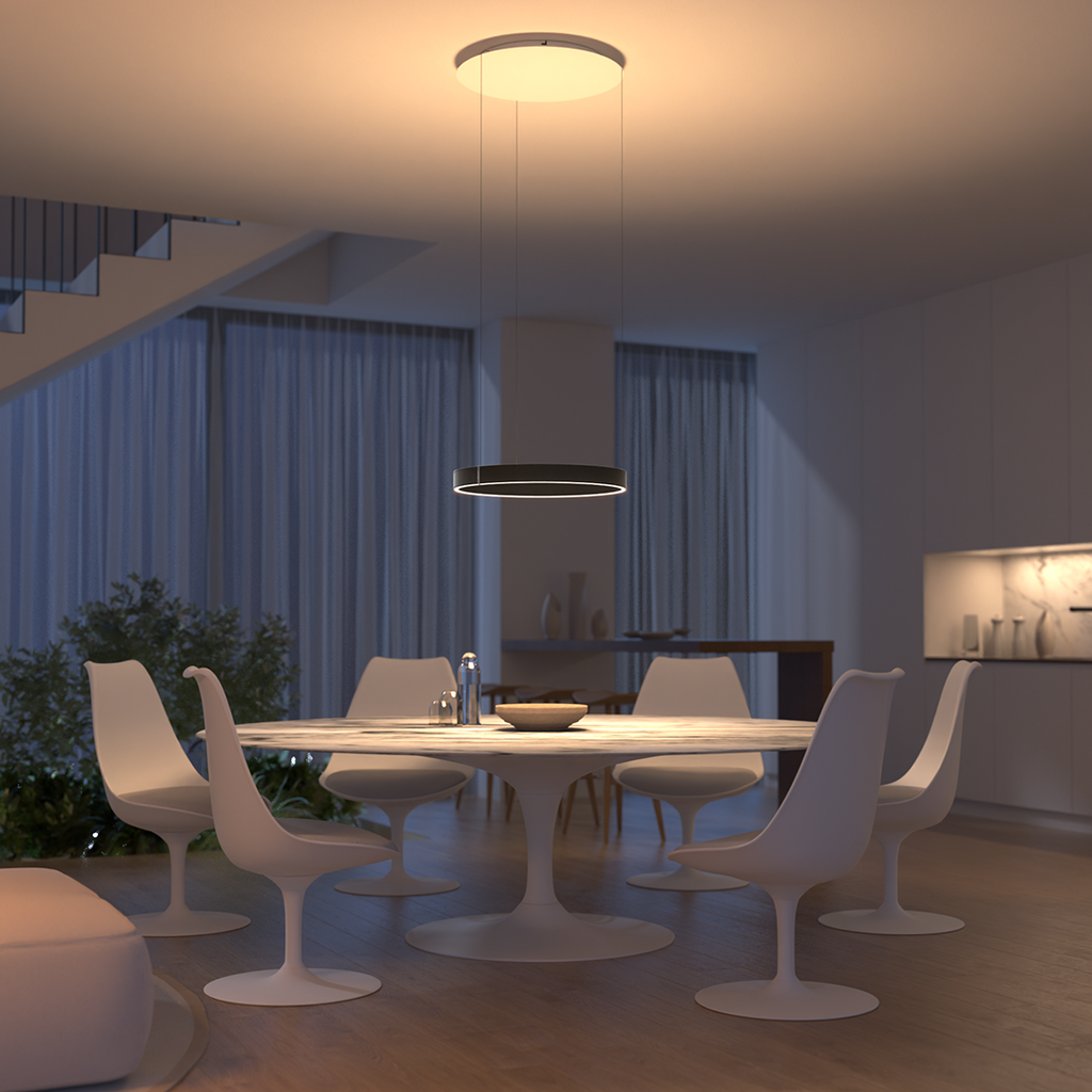 LED Lighting Flush Mount Ceiling Light Pendant